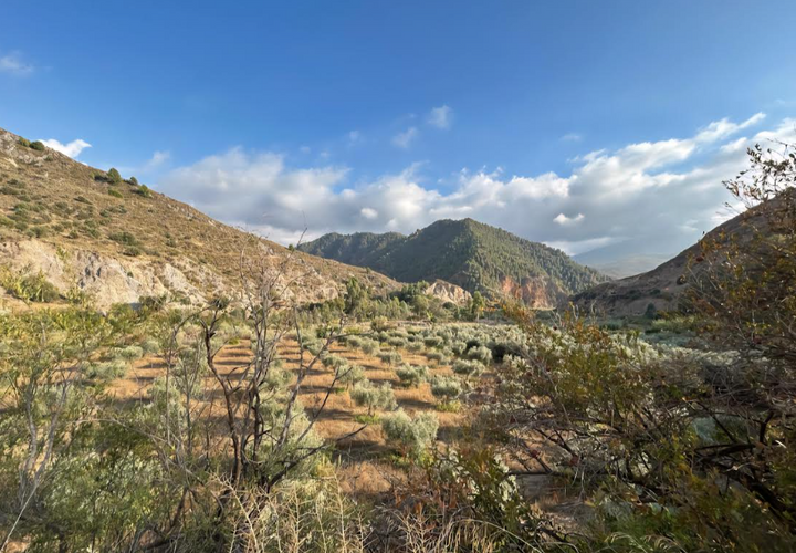 Helårsgrund i Orgiva, Granada, Orgiva - € 85.000 | Ref: OC592 - foto 1